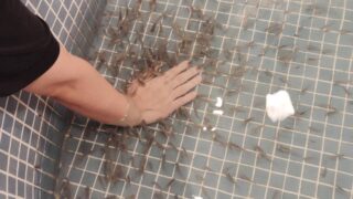 🐟✨ドクターフィッシュが500匹仲間入りしました！癒しと楽しさを同時に体験🌿