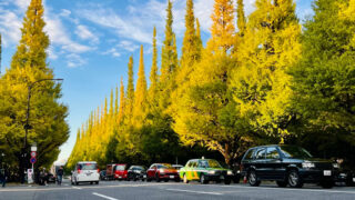 季節が変わり始めた東京、上野の夜に少しずつ活気が戻ってきました