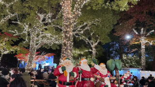 《冬の上野がもっと好きになる。イルミネーション散歩 ＋ マッサージの癒し時間》