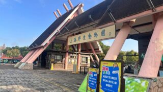 🐼初冬の上野、上野動物園と夜の癒し時間🐼