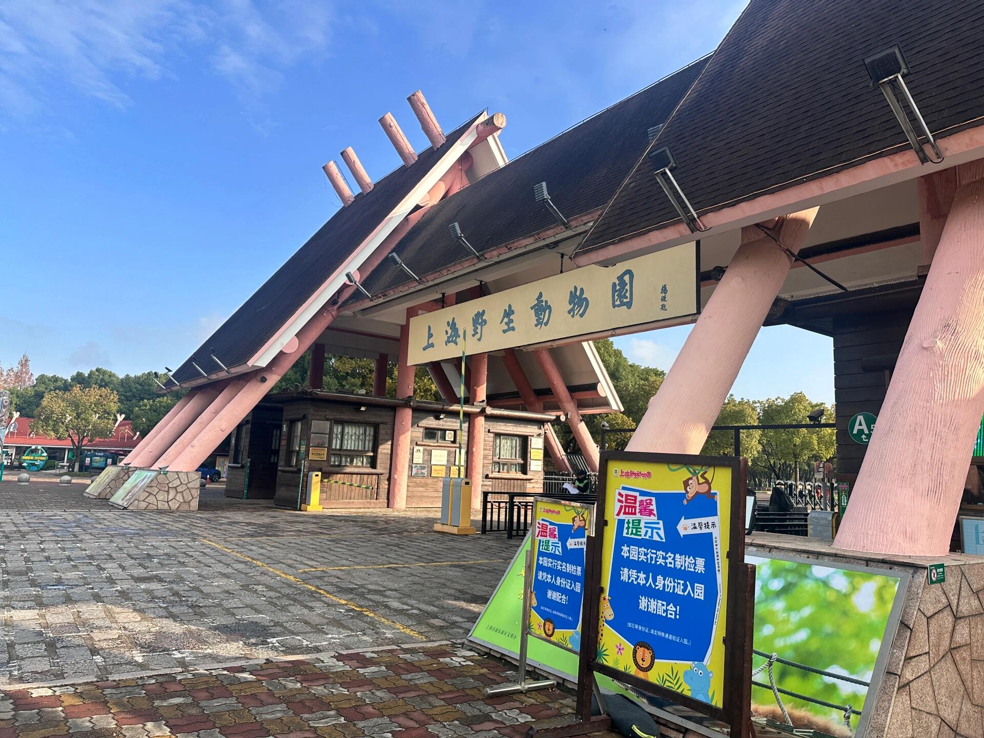 🐼初冬の上野、上野動物園と夜の癒し時間🐼