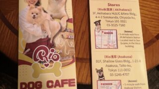連携中のいぬカフェRio様とのご紹介について|大足 SPA
